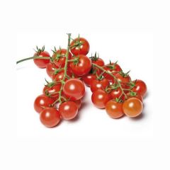 le-selezioni-pv-pomodoro-ciliegino-500g
