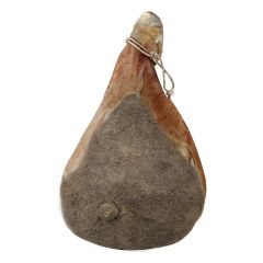 nuovo_progetto_-_2023-10-24t152645