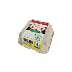 nuovo_progetto_-_2024-01-16t174634